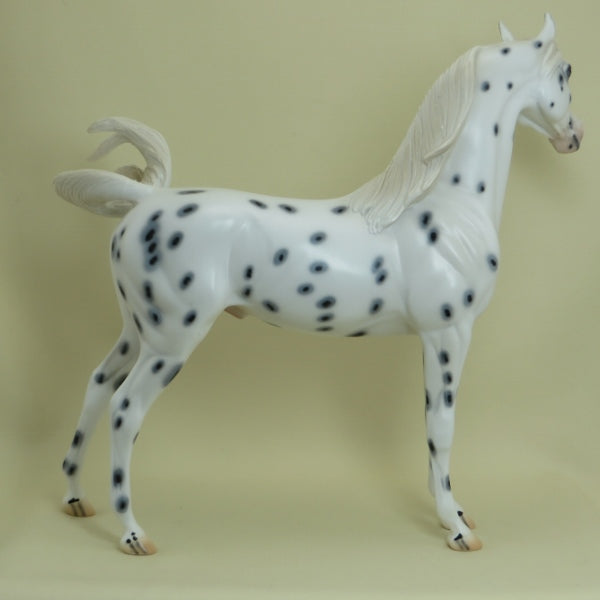 QUAKER OATS - OOAK Leopard Appaloosa Arabian 4/15