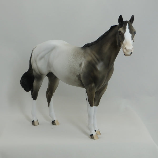 MONGO - OOAK Appaloosa Stock Horse Mare 4/15