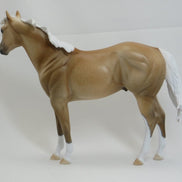 ADAMS - OOAK Dapple Palomino Stock Horse 2/15