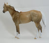 ADAMS - OOAK Dapple Palomino Stock Horse 2/15