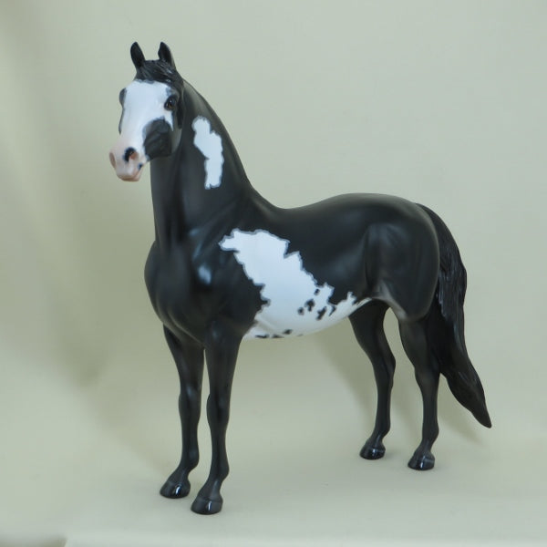 LA CROSSE - OOAK Black Overo Pinto Morgan with Mapping 4/15