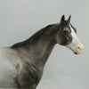 MONGO - OOAK Appaloosa Stock Horse Mare 4/15