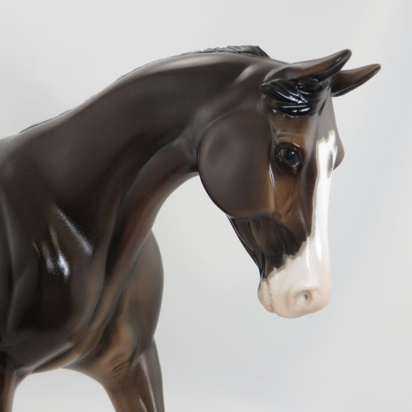 AS USUAL - OOAK Mapped Dapple Bay Palouse by D&#39;Arry Jone Frank - Gloss - 5/15