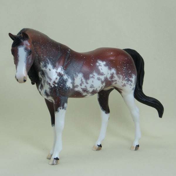 ELECTRA - OOAK Bay Pinto Pebbles Arabian with Mapping 4/15