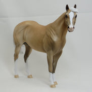 ADAMS - OOAK Dapple Palomino Stock Horse 2/15
