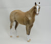 ADAMS - OOAK Dapple Palomino Stock Horse 2/15