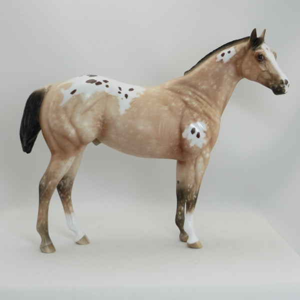 SKY HAWK - OOAK Varnish Roan Appaloosa Stock Horse  by Sheryl Leisure - 5/15