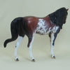ELECTRA - OOAK Bay Pinto Pebbles Arabian with Mapping 4/15