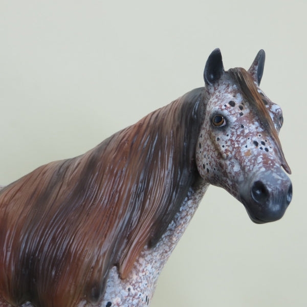 USA GOLD - OOAK Marble Appaloosa Stock Horse 4/15