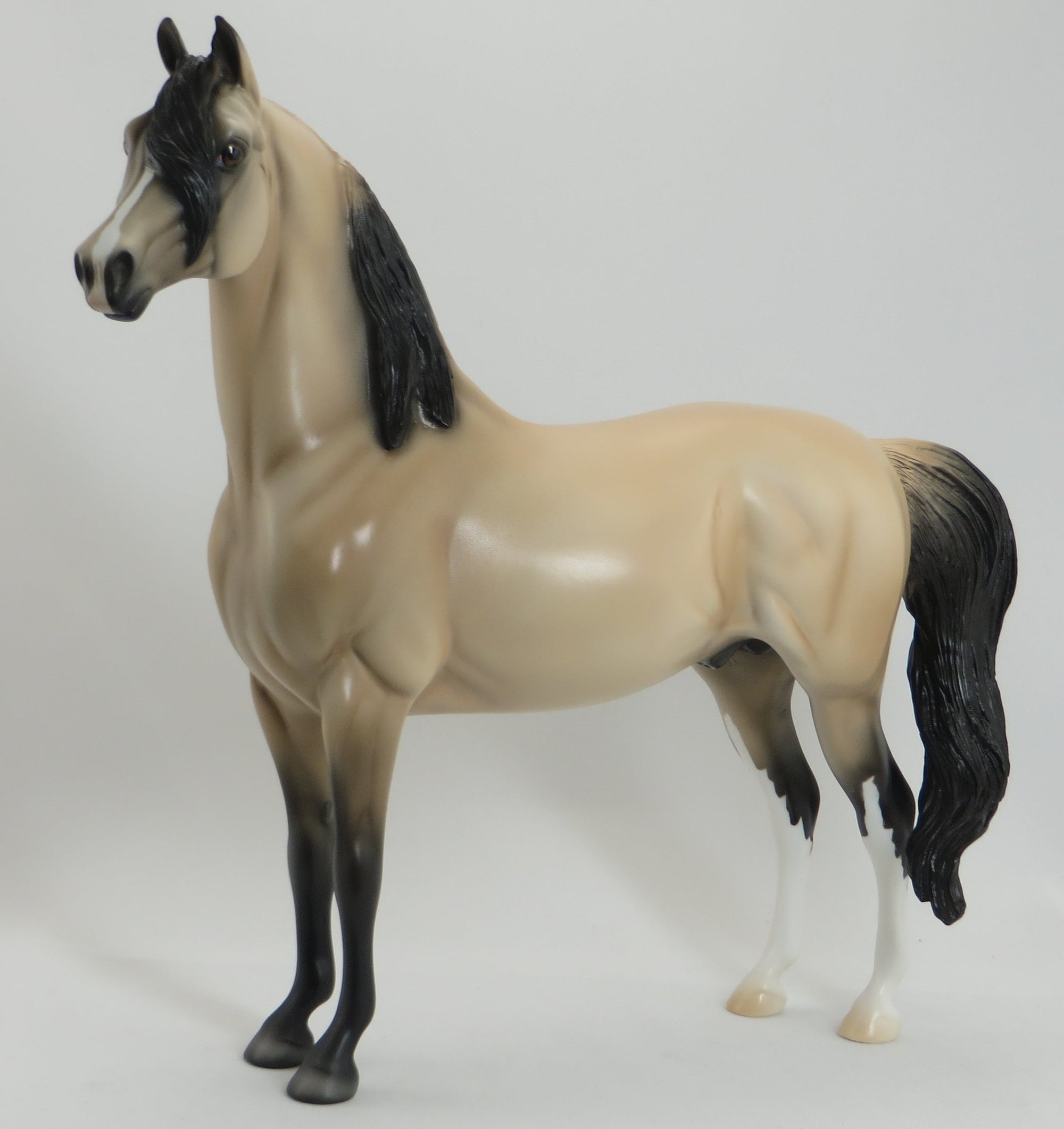 VALERIAN - OOAK Pale Buckskin Morgan 5/15