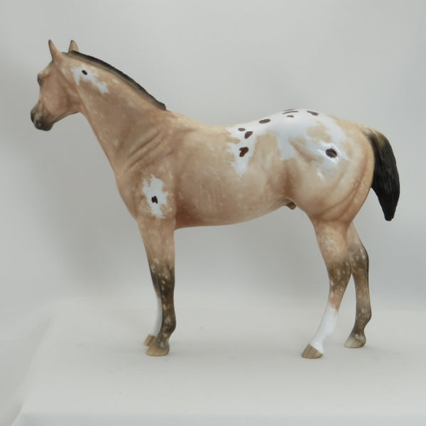 SKY HAWK - OOAK Varnish Roan Appaloosa Stock Horse  by Sheryl Leisure - 5/15