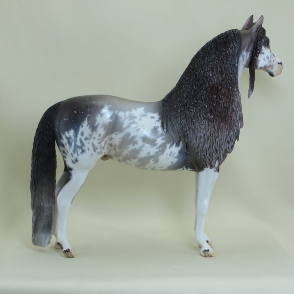 PHILLIP MORRIS - OOAK Rose Gray Sabino Pinto Morgan 4/15