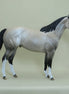 BELOIT - OOAK Dapple Buttermilk Buckskin Stock Horse 4/15