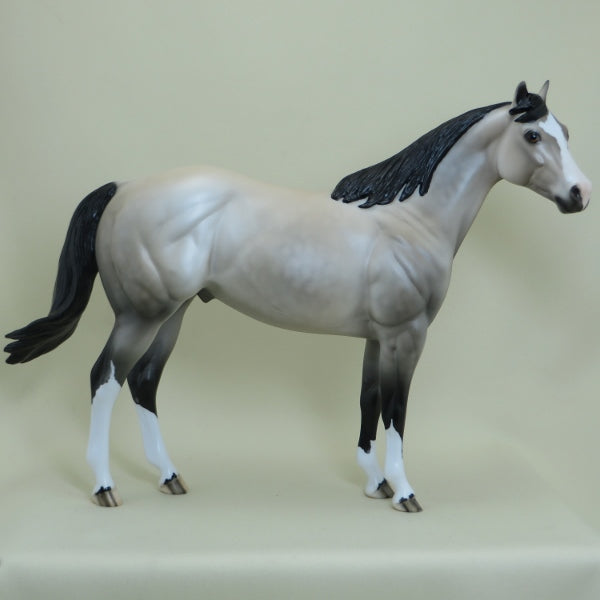 BELOIT - OOAK Dapple Buttermilk Buckskin Stock Horse 4/15