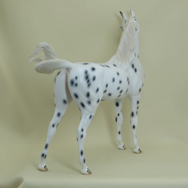 QUAKER OATS - OOAK Leopard Appaloosa Arabian 4/15