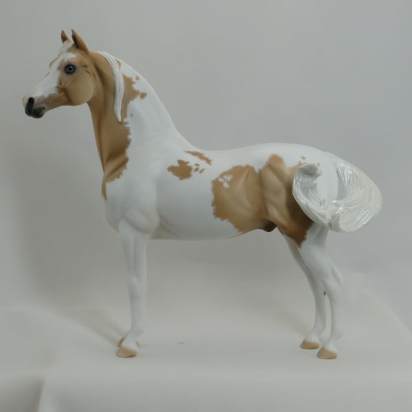 LAMBRIGHT - OOAK Palomino Pinto Morgan with Mapping 4/15