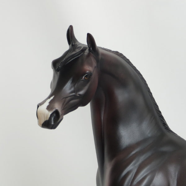 MEADOWBROOK - Dapple Dark Brown Arabian LE3 5/15