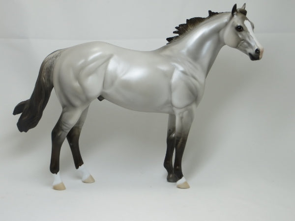 UNBROKEN - Silver Dun Grulla Stock Horse LE6 2/15