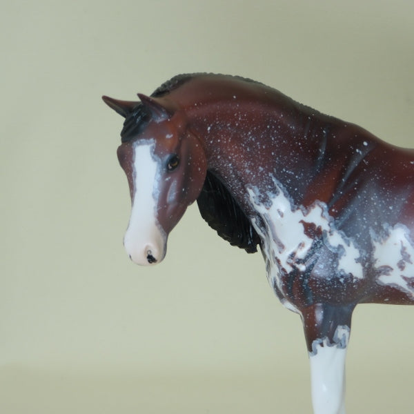 ELECTRA - OOAK Bay Pinto Pebbles Arabian with Mapping 4/15