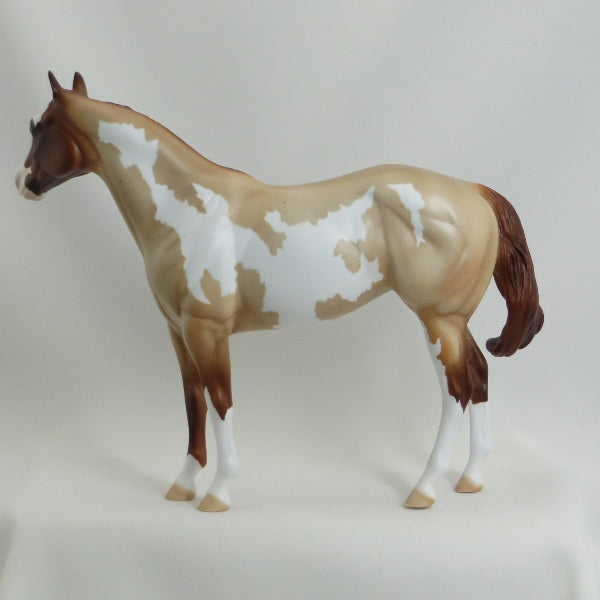 MIDDLEBURY MAIDEN - Chestnut  Roan Paint Stock Horse Mare - LE6 - 5/15