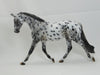 TRUMAN - OOAK Leopard Appaloosa Palouse 2/15