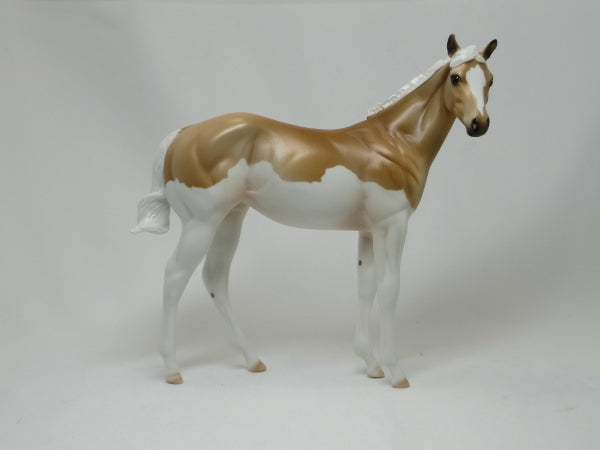 SUSAN FORD - OOAK Palomino Splash Paint Weanling 2/15