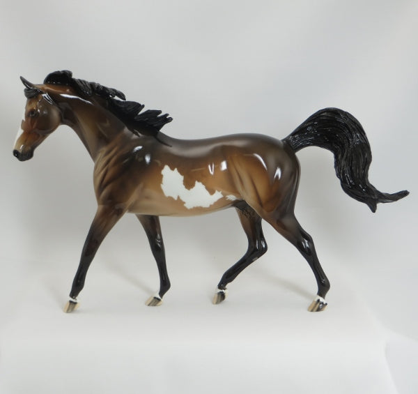 PIRATE'S COVE - OOAK Dapple Sooty Buckskin Paint Model Horse Pony - GLOSS - 5/15