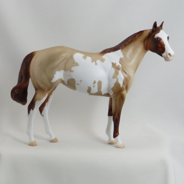 MIDDLEBURY MAIDEN - Chestnut  Roan Paint Stock Horse Mare - LE6 - 5/15