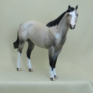BELOIT - OOAK Dapple Buttermilk Buckskin Stock Horse 4/15