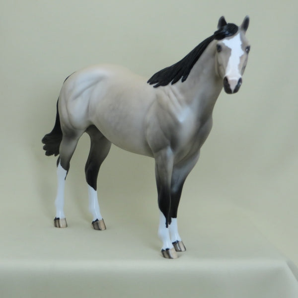 BELOIT - OOAK Dapple Buttermilk Buckskin Stock Horse 4/15