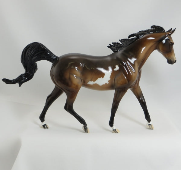 PIRATE&#39;S COVE - OOAK Dapple Sooty Buckskin Paint Model Horse Pony - GLOSS - 5/15