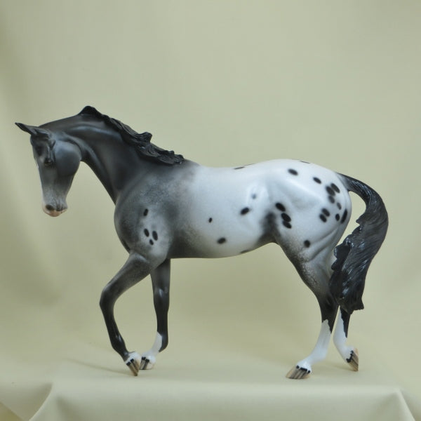 NEWPORT - OOAK Appaloosa Thoroughbred 4/15