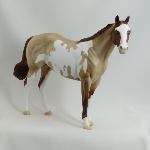 MIDDLEBURY MAIDEN - Chestnut  Roan Paint Stock Horse Mare - LE6 - 5/15