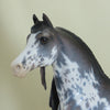 PHILLIP MORRIS - OOAK Rose Gray Sabino Pinto Morgan 4/15