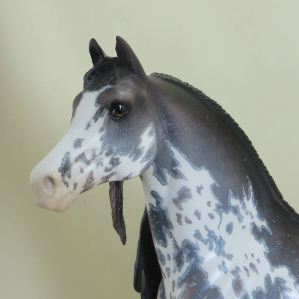 PHILLIP MORRIS - OOAK Rose Gray Sabino Pinto Morgan 4/15