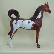 BOOM OR BUST - OOAK Dapple Bay Pinto Arabian Model Horse - 4/15
