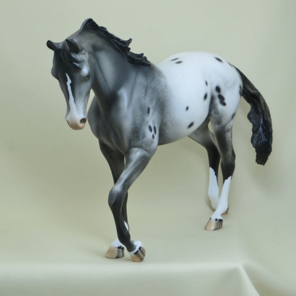 NEWPORT - OOAK Appaloosa Thoroughbred 4/15