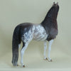 PHILLIP MORRIS - OOAK Rose Gray Sabino Pinto Morgan 4/15