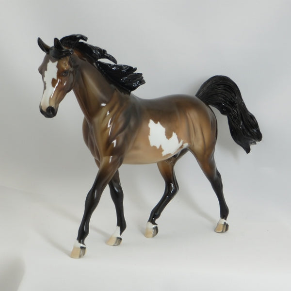 PIRATE&#39;S COVE - OOAK Dapple Sooty Buckskin Paint Model Horse Pony - GLOSS - 5/15