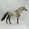 SILENT EAGLE - OOAK Grulla Appaloosa Mustang by Sheryl Leisure - 5/15