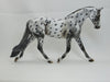 TRUMAN - OOAK Leopard Appaloosa Palouse 2/15