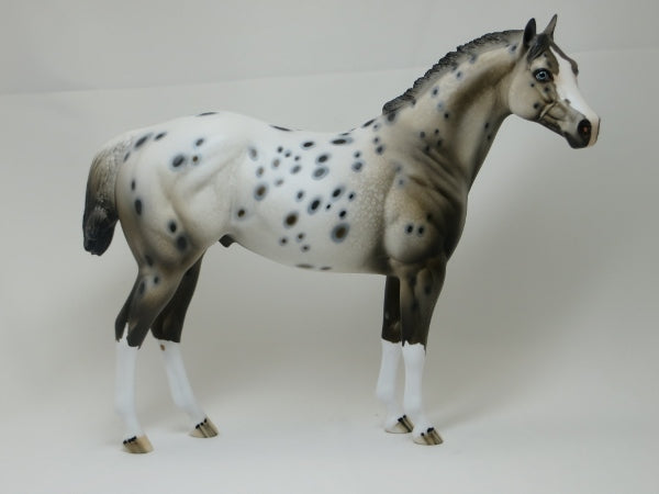 GOT SPOTS - Ratty Mane Appaloosa with Variation of Face Marking LE10 2/15