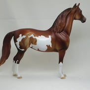 ABIGAIL ADAMS - OOAK Chestnut Pinto Morgan 2/15