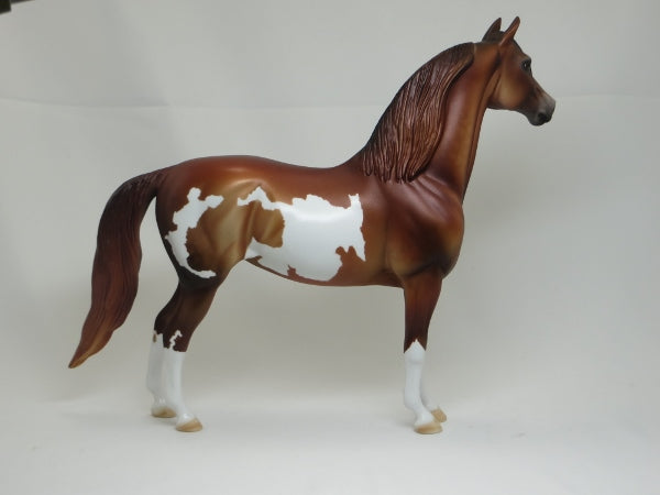 ABIGAIL ADAMS - OOAK Chestnut Pinto Morgan 2/15