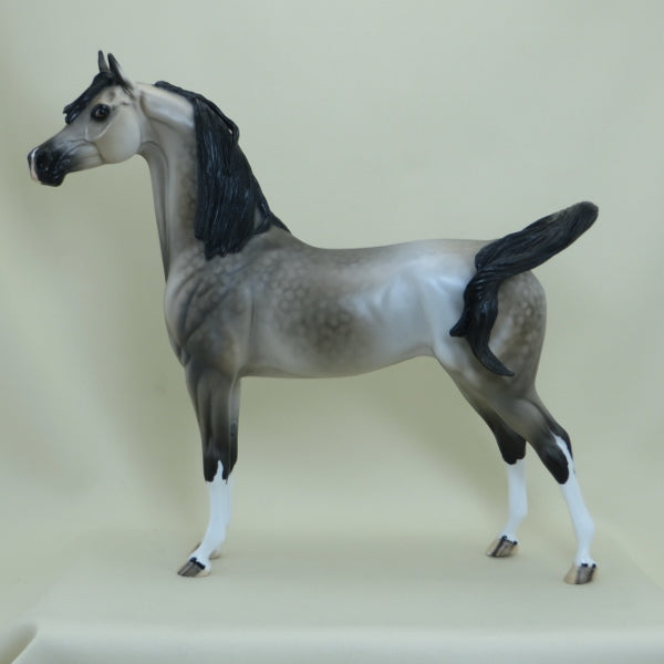 OPTIVA - OOAK Dapple Silver Buckskin Arabian 4/15