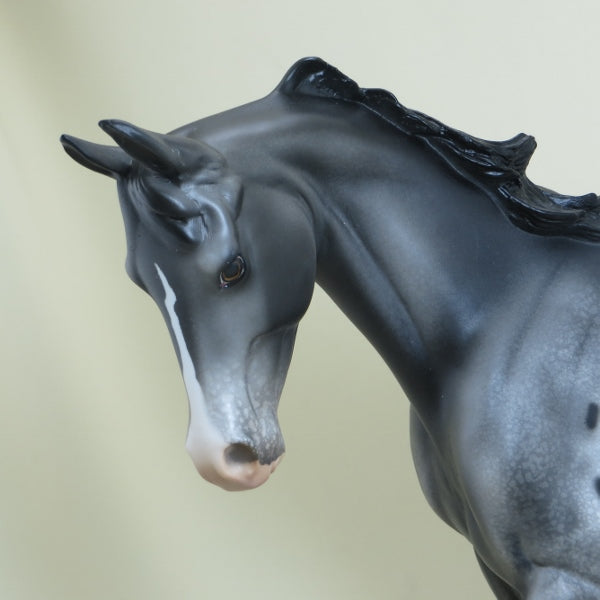 NEWPORT - OOAK Appaloosa Thoroughbred 4/15