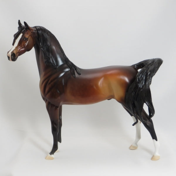 THE PERFECT FAN - OOAK Dapple Bay Arabian w/ Lots of Mane 5/15