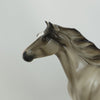 SILENT EAGLE - OOAK Grulla Appaloosa Mustang by Sheryl Leisure - 5/15