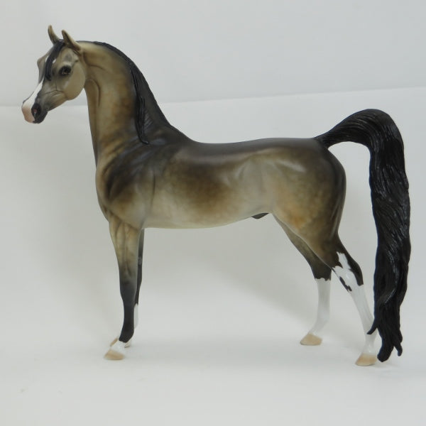 ZACHARY TAYLOR - OOAK Dapple Buckskin Arabian 2/15