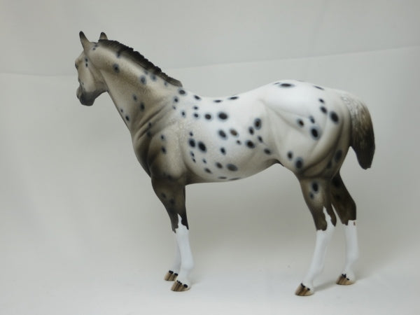 GOT SPOTS - Ratty Mane Appaloosa with Variation of Face Marking LE10 2/15